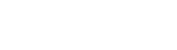 CEO VIỆT